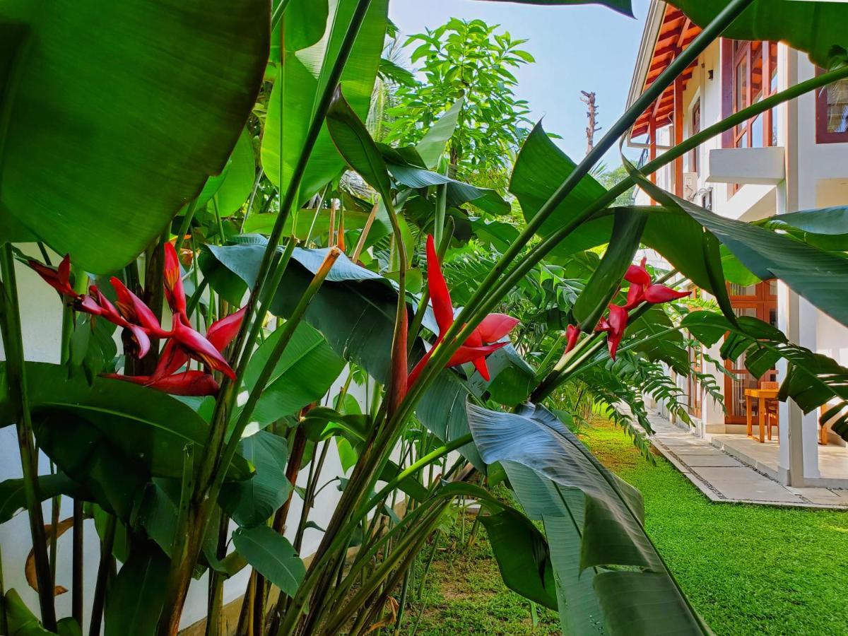 Villa Ema Galle Eksteriør bilde
